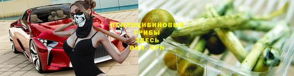 каннабис Щигры